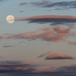 Jim Nicklinson, Bone Moon 1