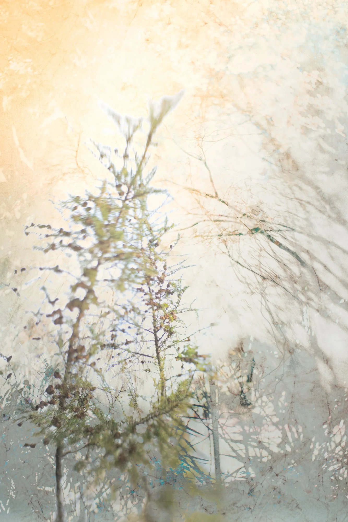 Karen Olson, Remembrance