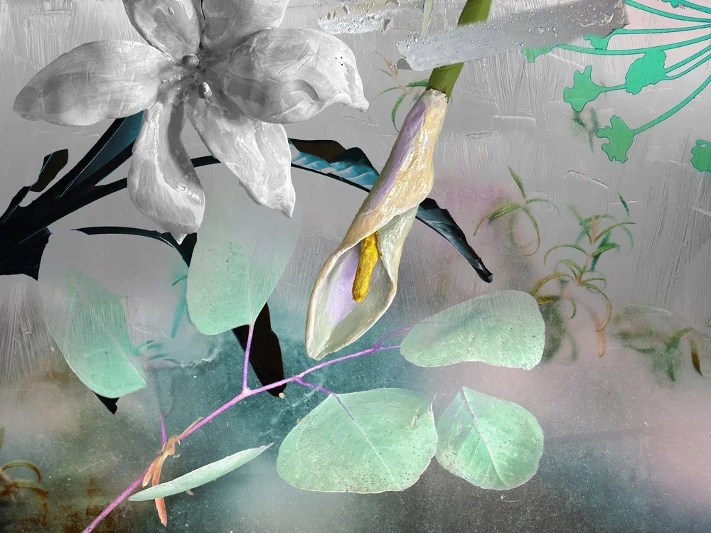 Carol Eisenberg, Flower V2