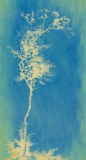 Joyce Tenneson, Sacre Bleu Series