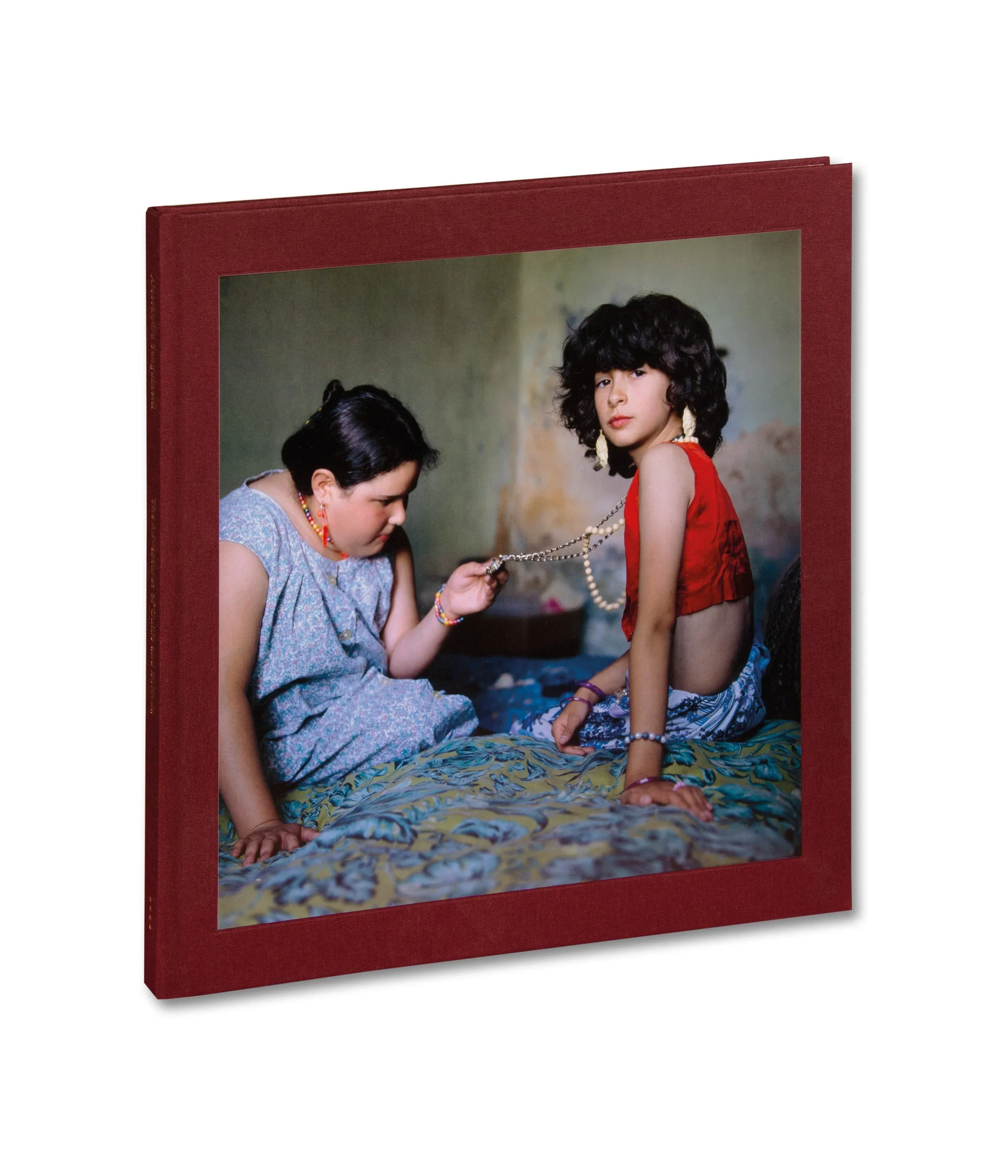 Alessandra Sanguinetti, The Adventures of Guille and Belinda
