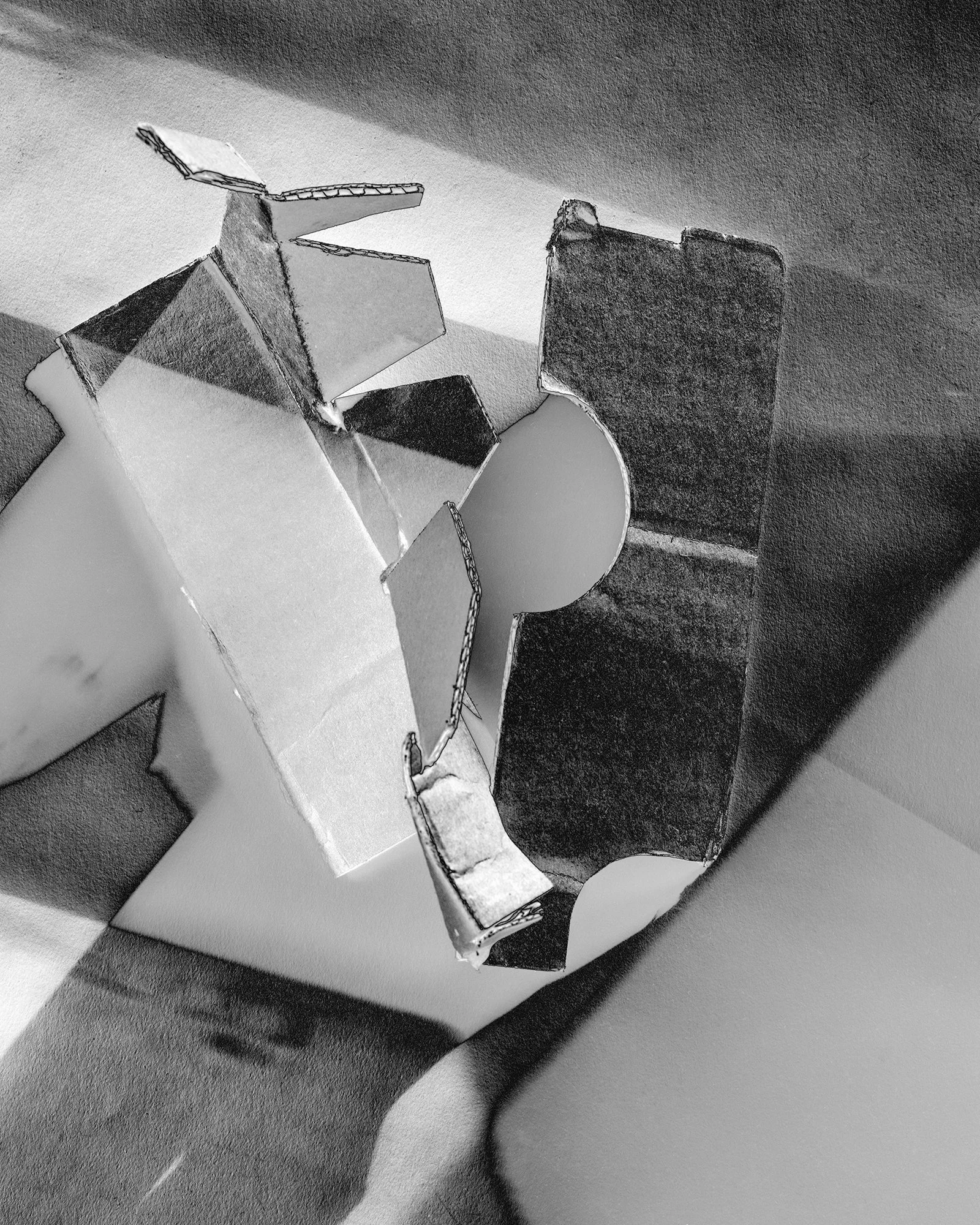 Paul Rider, Commerce 02