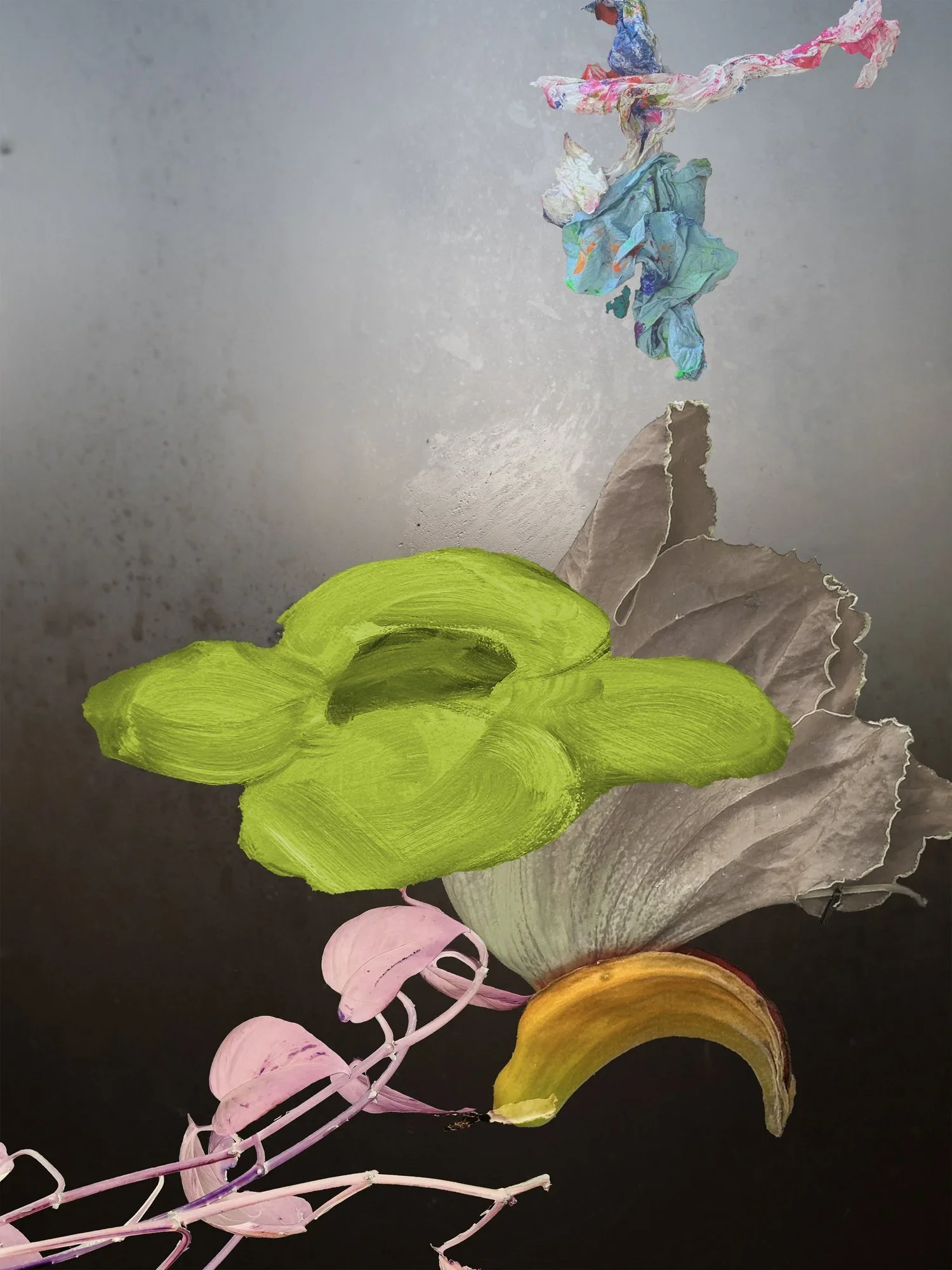 Carol Eisenberg, Flowers V 12