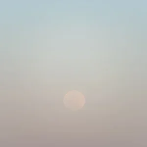 Jim Nicklinson, Moon of Wakening 2