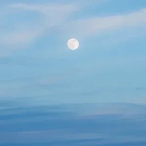 Dragon-Moon-I-Jim-Nickelson.jpg.webp