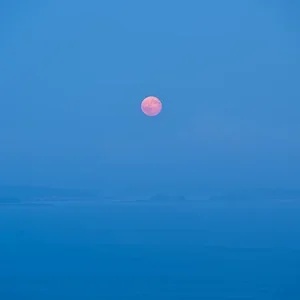 Jim Nicklinson, Harvest Moon 1