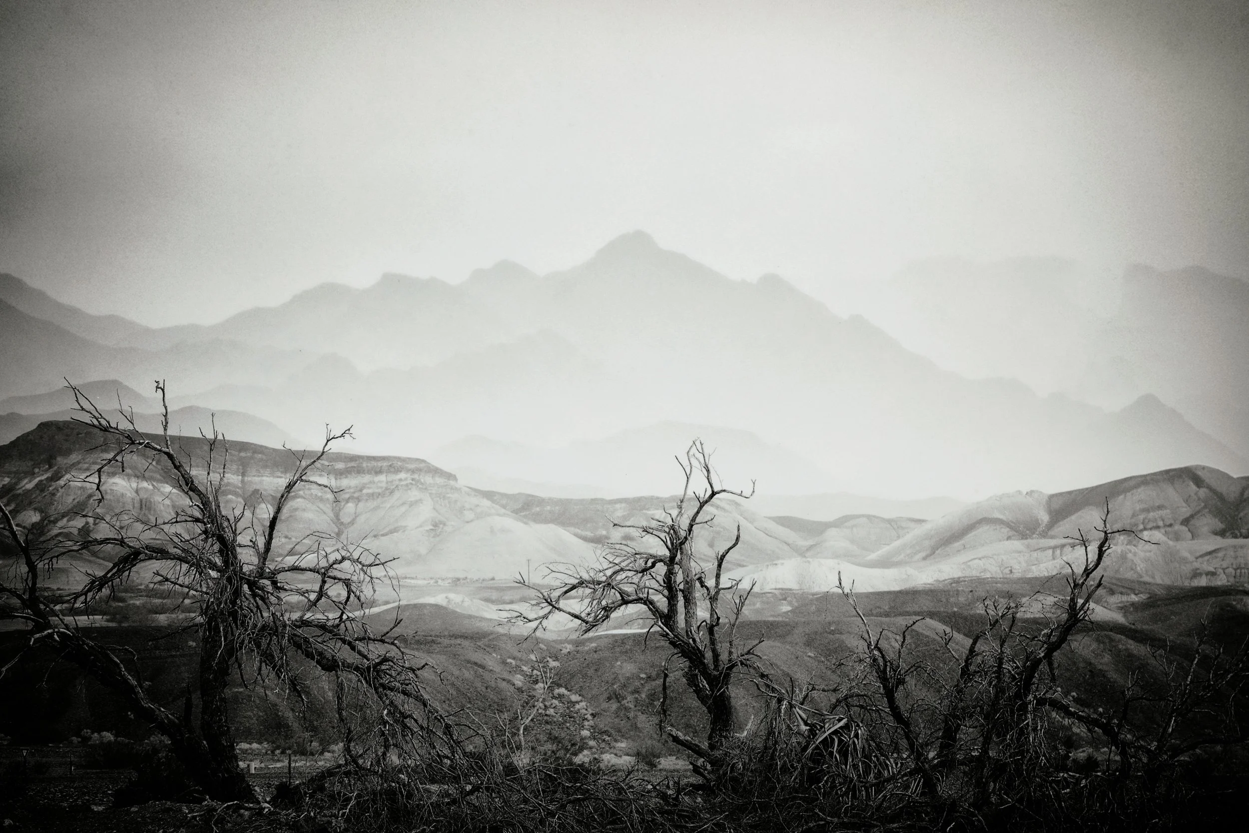 Dan Dow, Dead Trees in Landscape with Mountains, Death Valley
