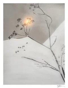 2026©ElizabethOpalenik_The+Landscape+Within+#014.webp