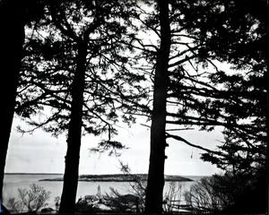Eugene Cole, Self Portrait, Outer Head Reid State Park