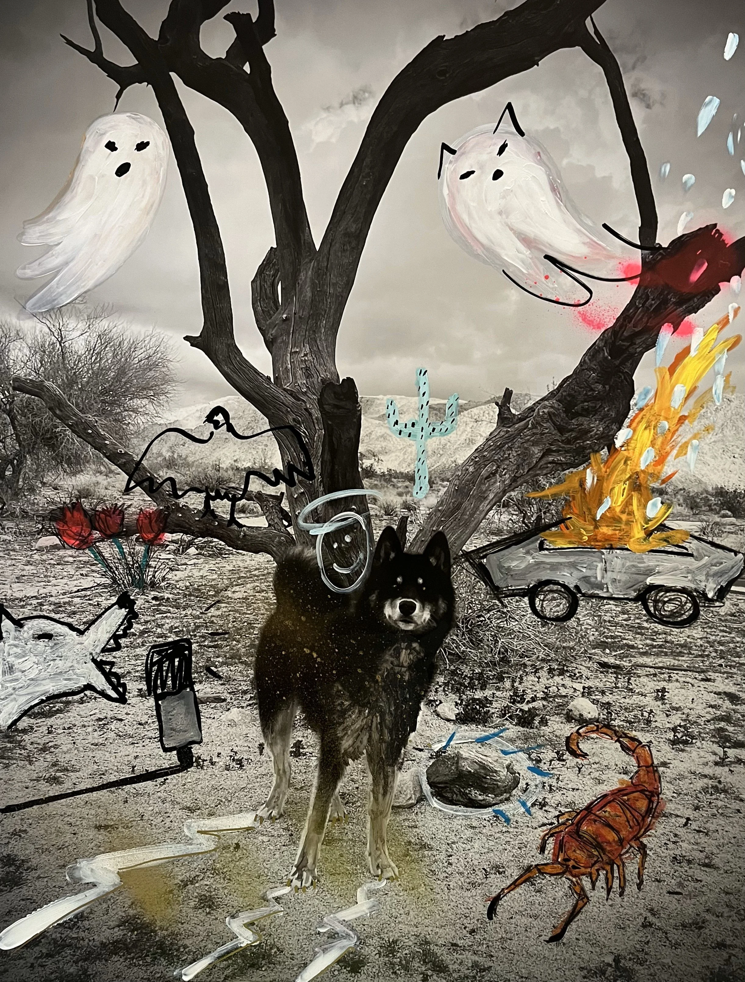 June Kim, Judgement Day