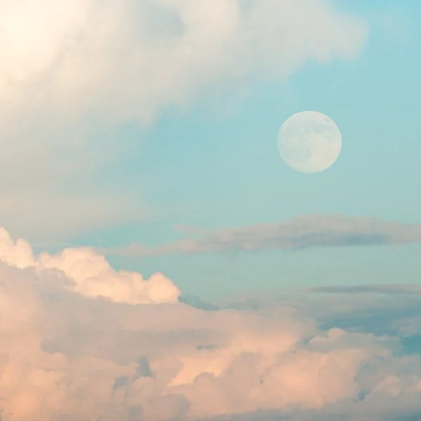 Dog-Days-Moon-IV-b-Jim-Nickelson.jpg