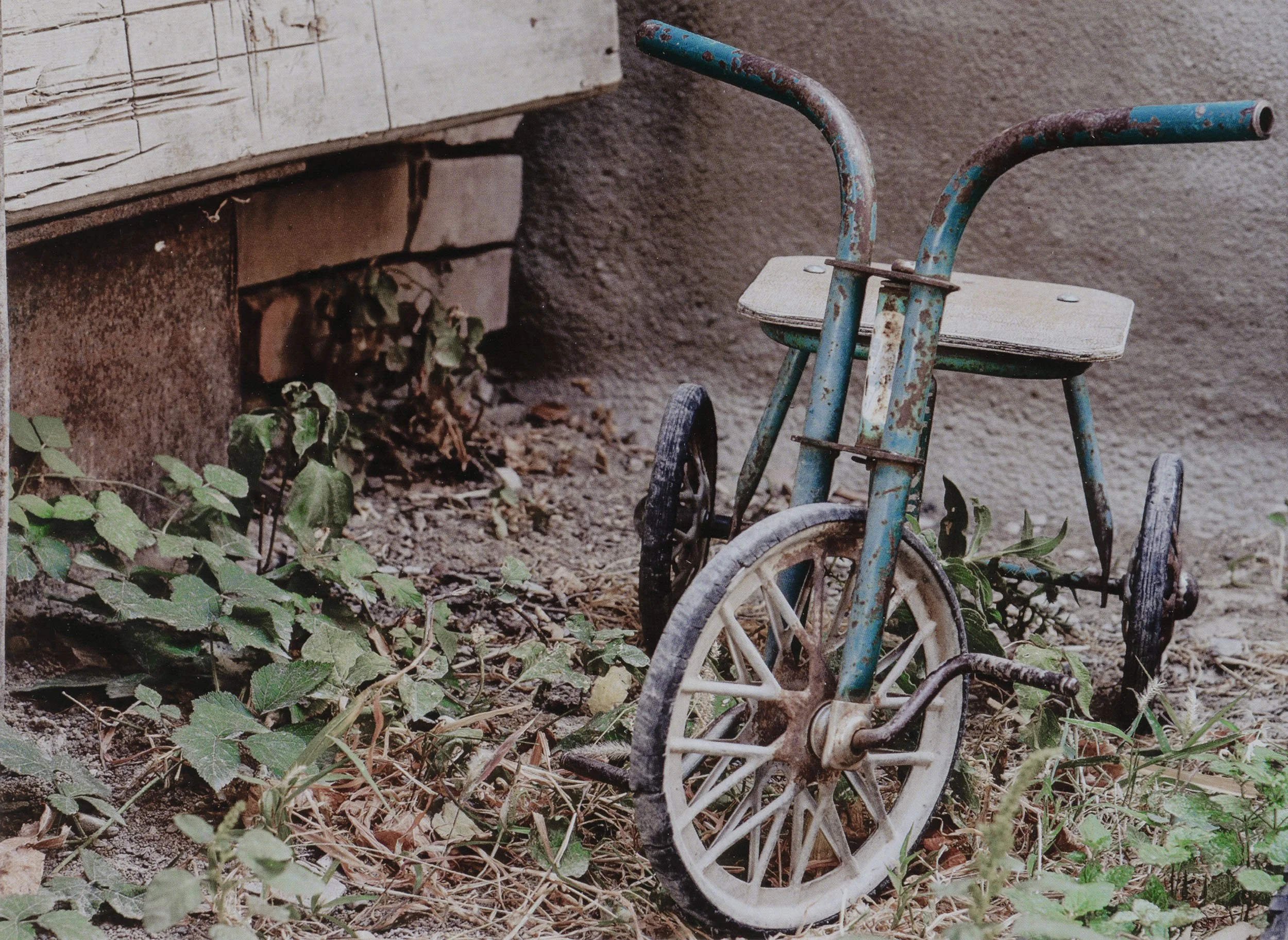 Kolack Bicycle front full copy.jpg