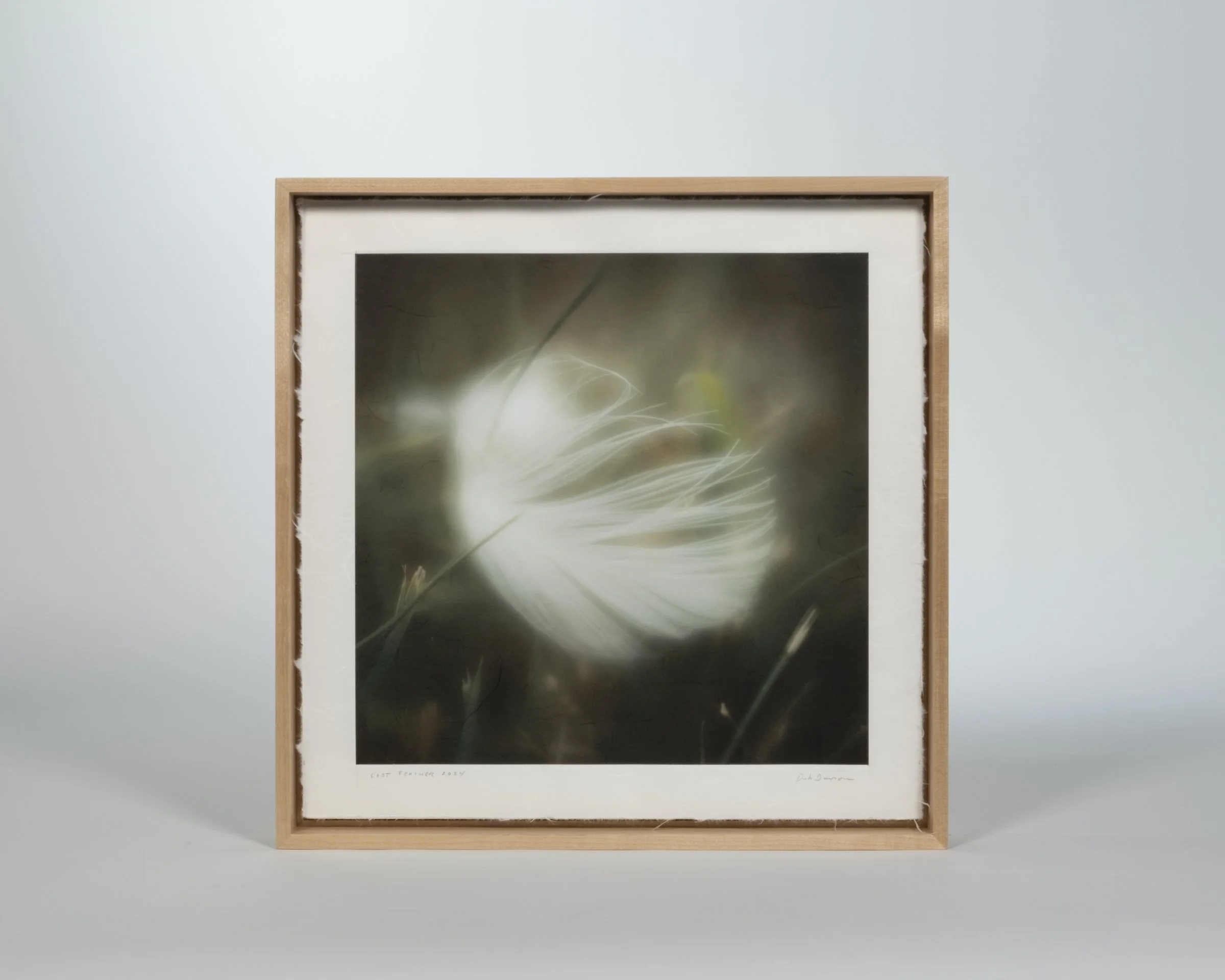 Deb Dawson, Lost Feather