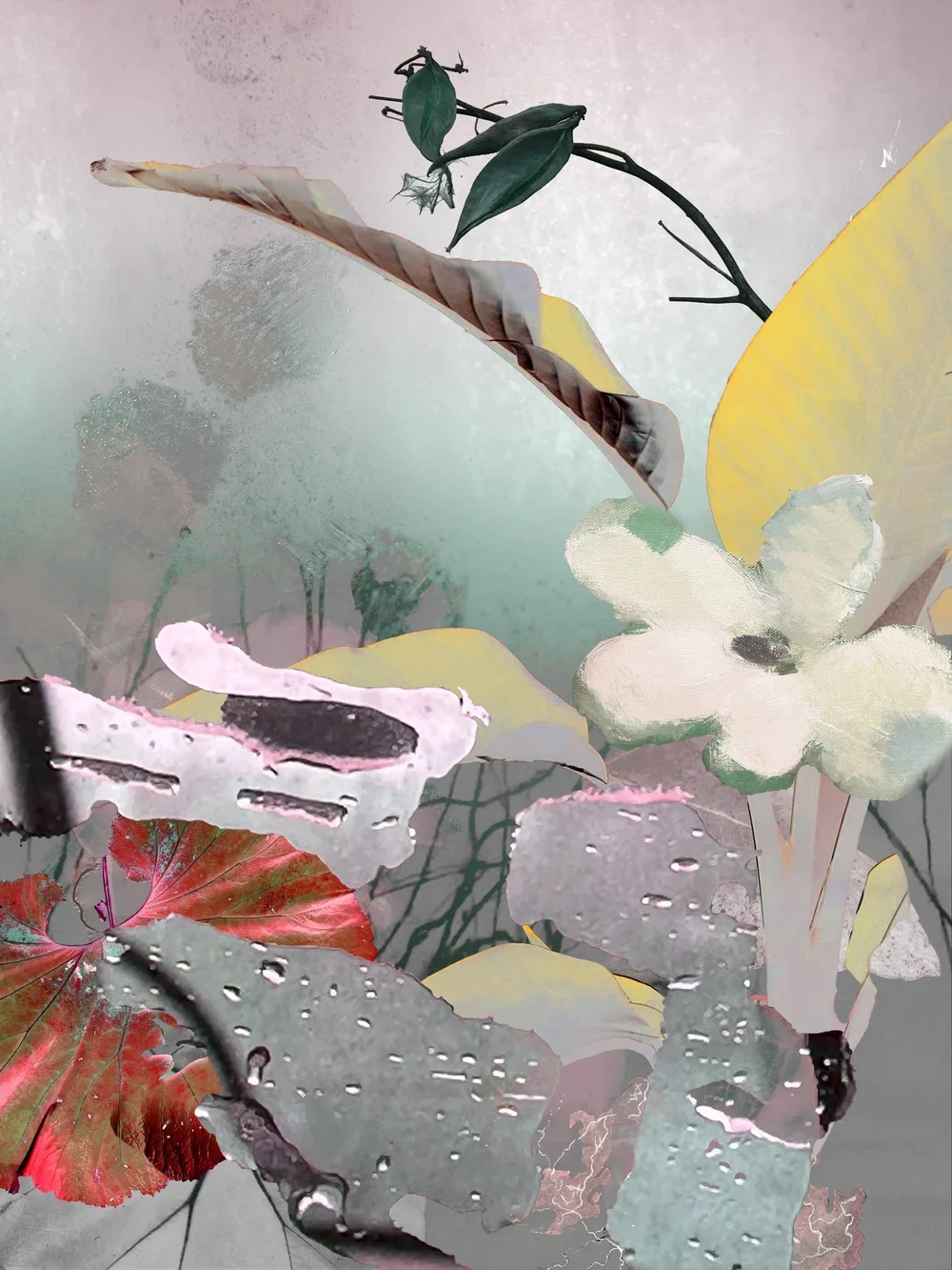 Carol Eisenberg, Botanicals 4