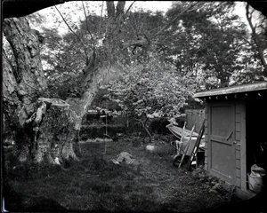 Eugene Cole, Self Portrait, Lying in the Grass