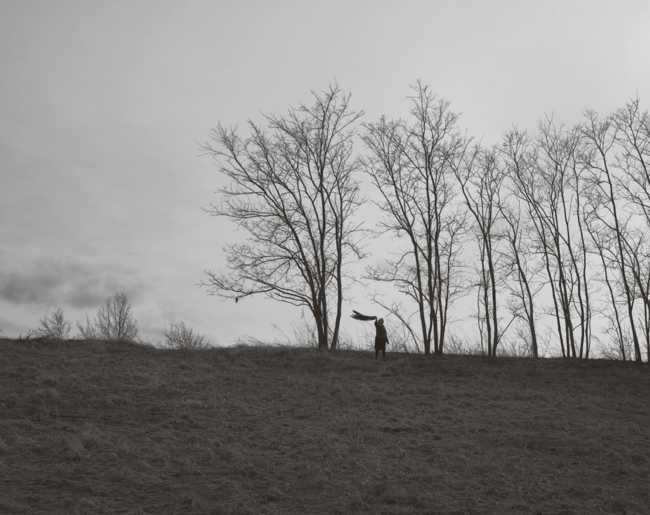 Scott Offen, Waving