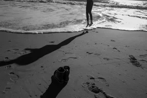 Denise Laurinaitis, Jump into the New Year