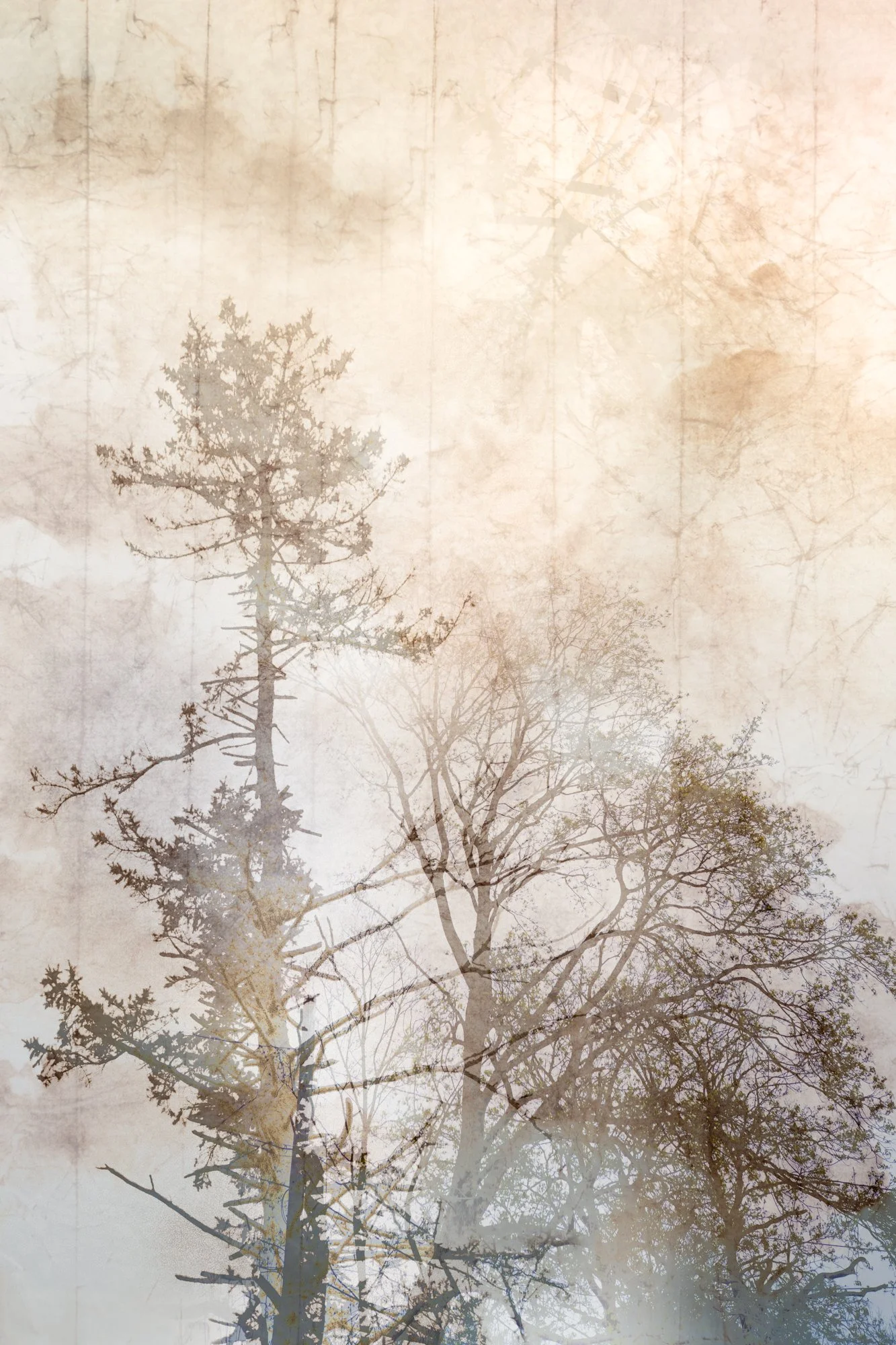 Karen Olson, Essence