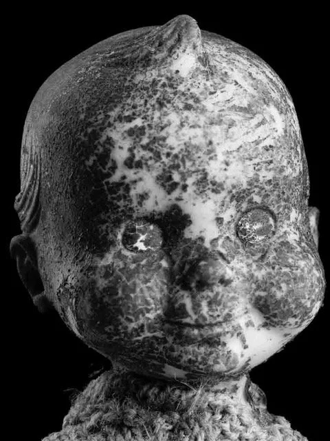 Tillman Crane, Gerber Baby I, ND, 2023