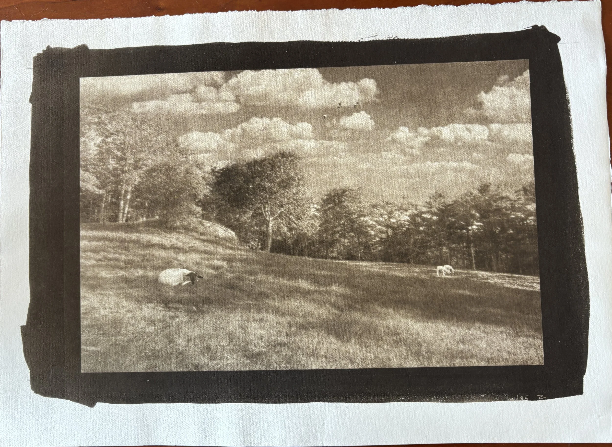 Jack Montgomery, Freeport Field