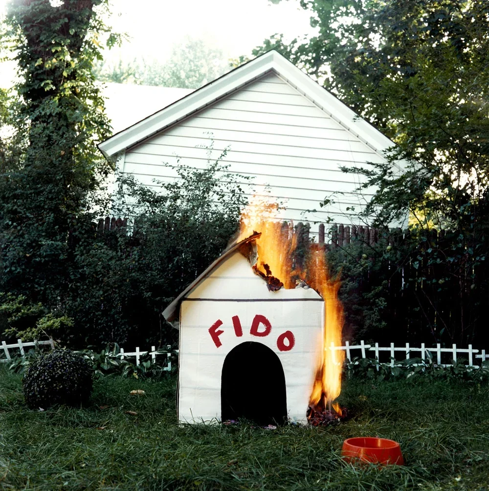 7+FIDO.webp