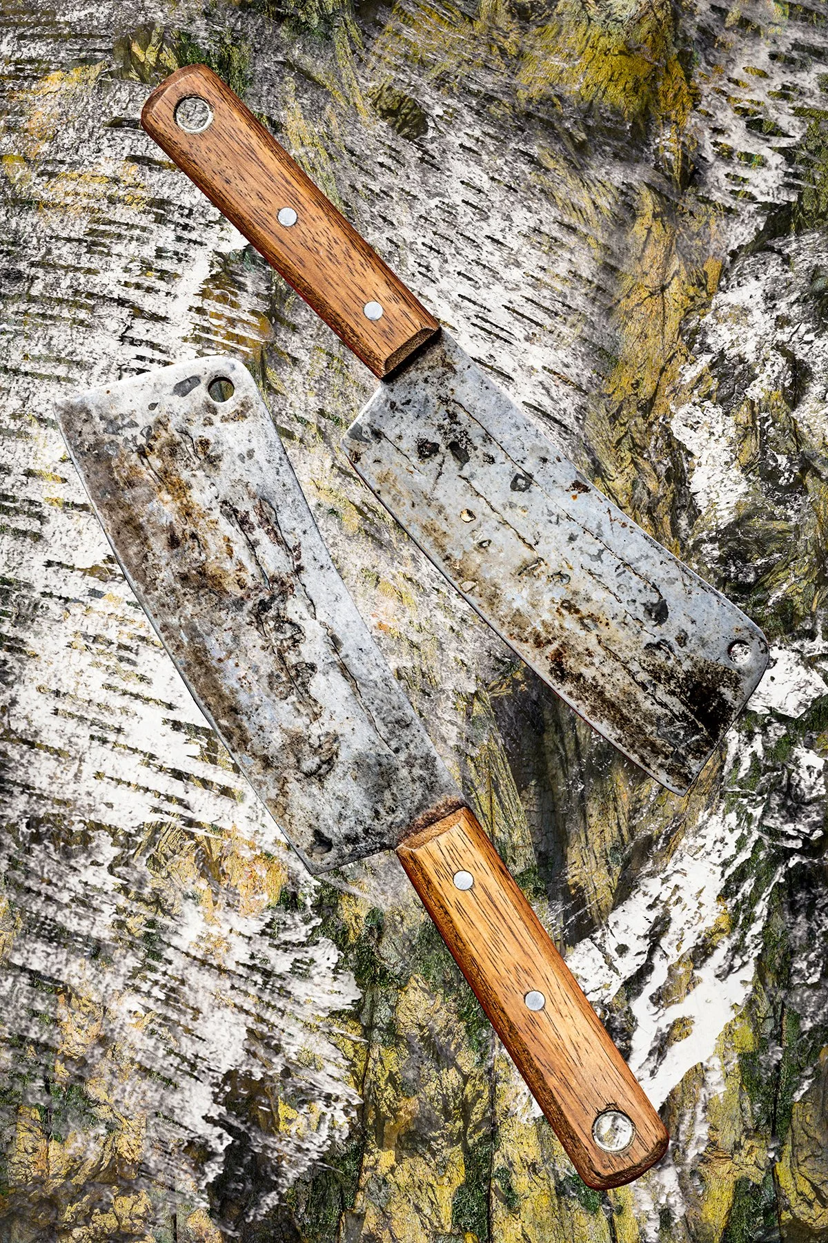 Cleaver, Bernard C Meyers