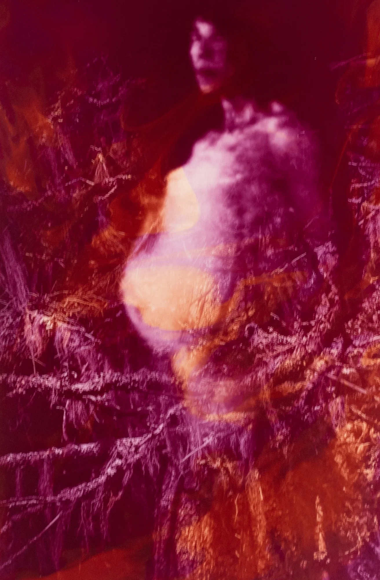 Jeannie Hutchins, No Return
