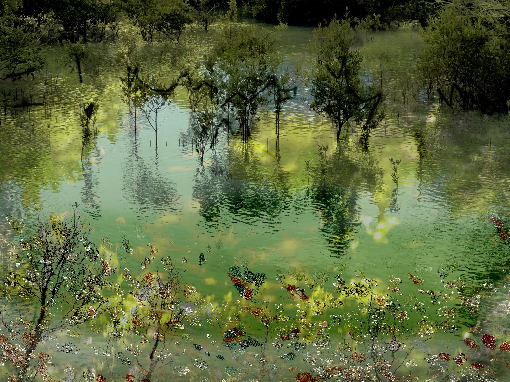 Carol Eisenberg, Mangroves 04