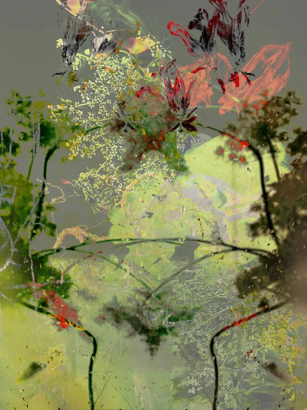 Carol Eisenberg, Queen Anne's Lace 8