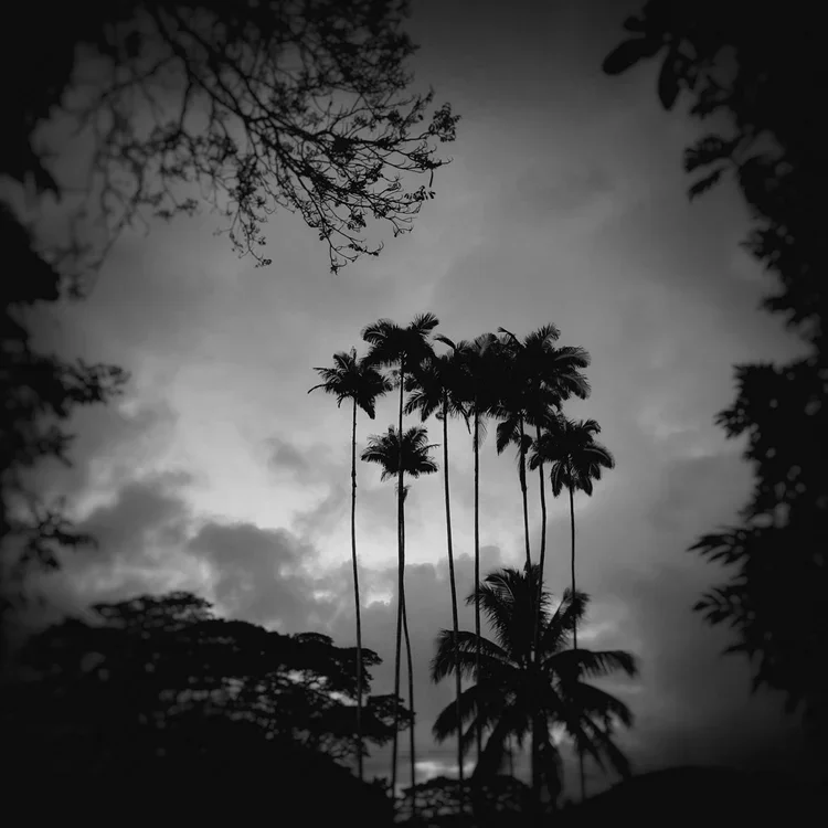 Elizabeth Greenberg, Imaginary Places, Hawaii Portfolio