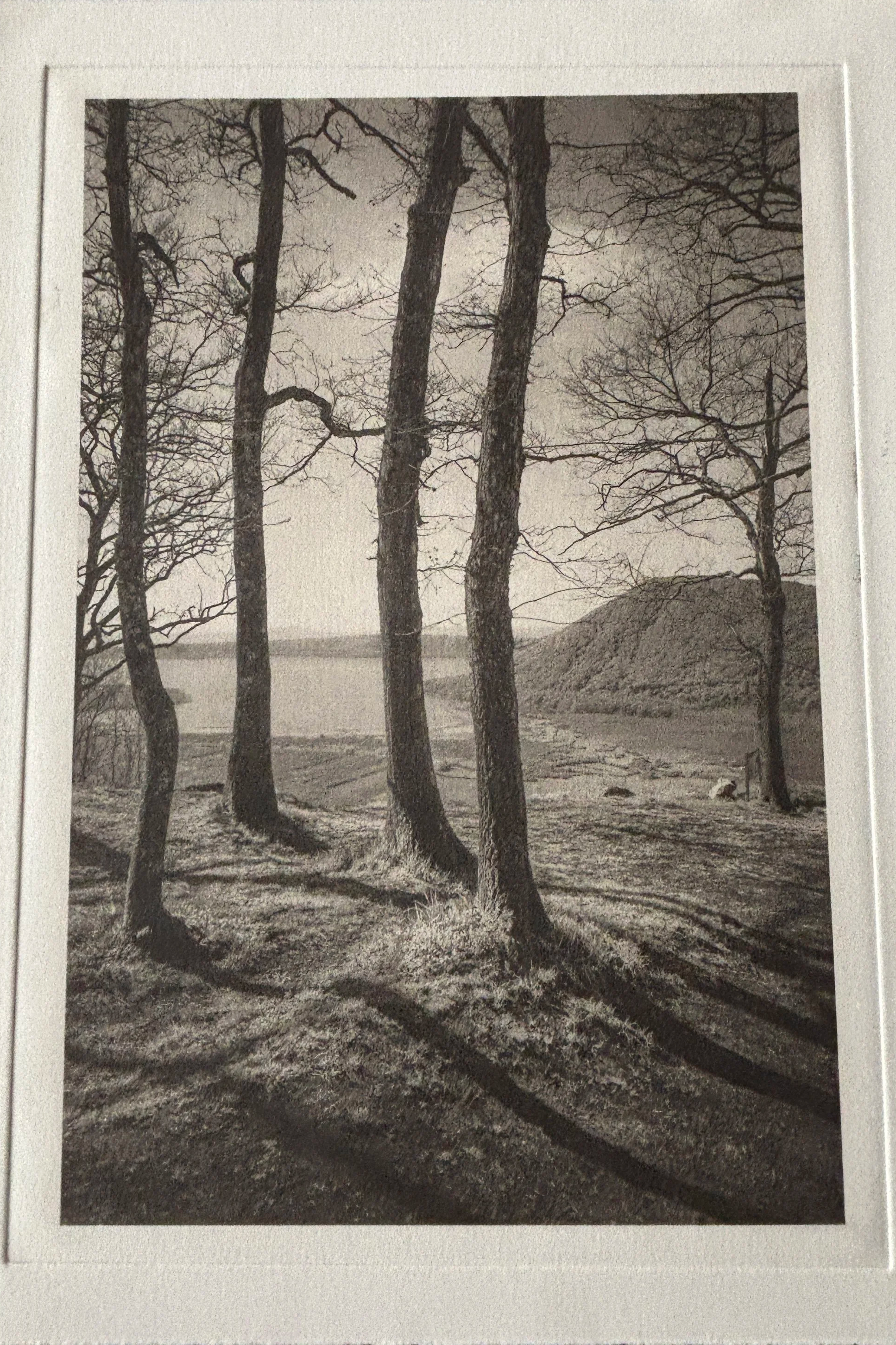 Jack Montgomery, Views Over Lake Bolseme
