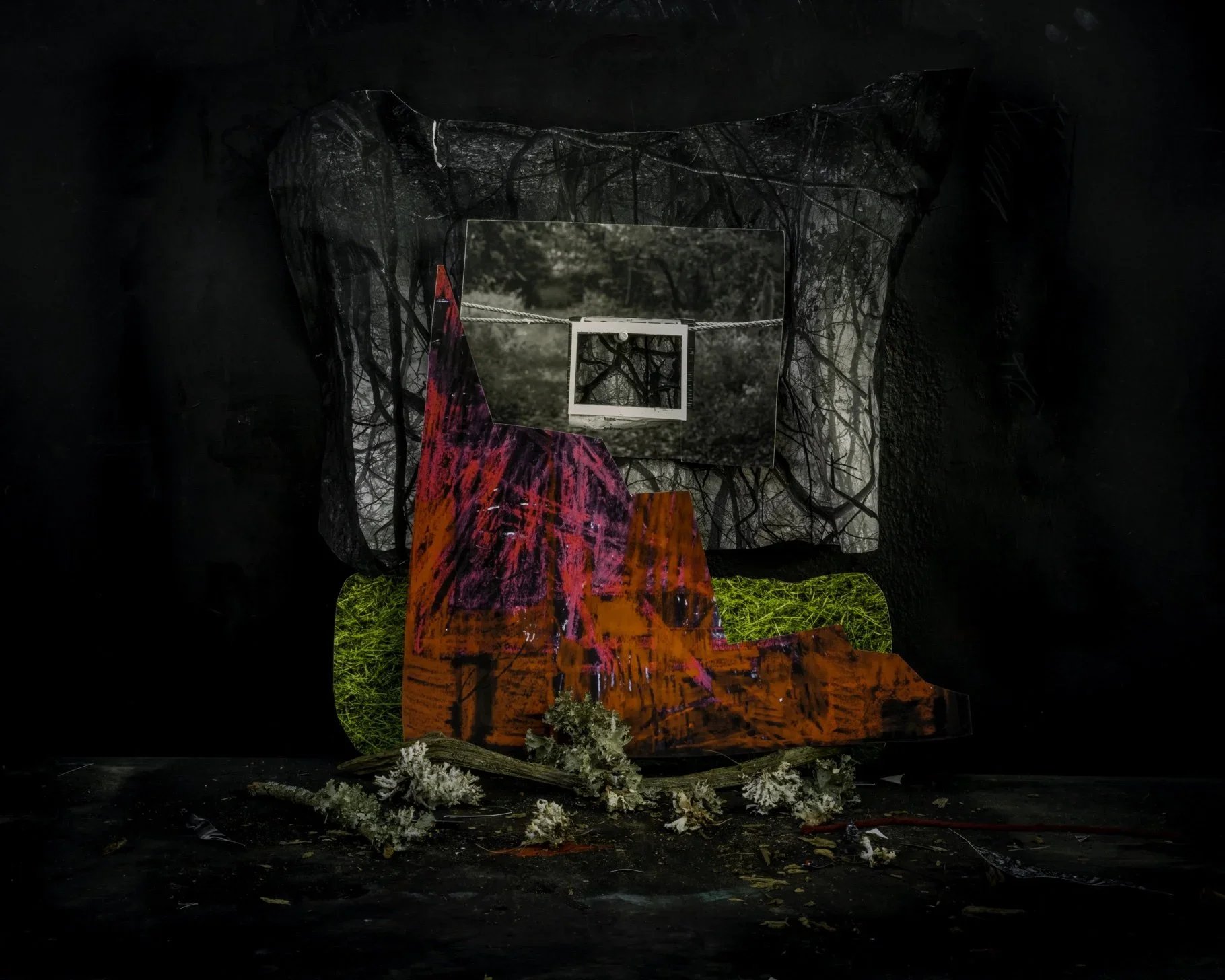 Suzanne Theodora White, Still Life Sticks