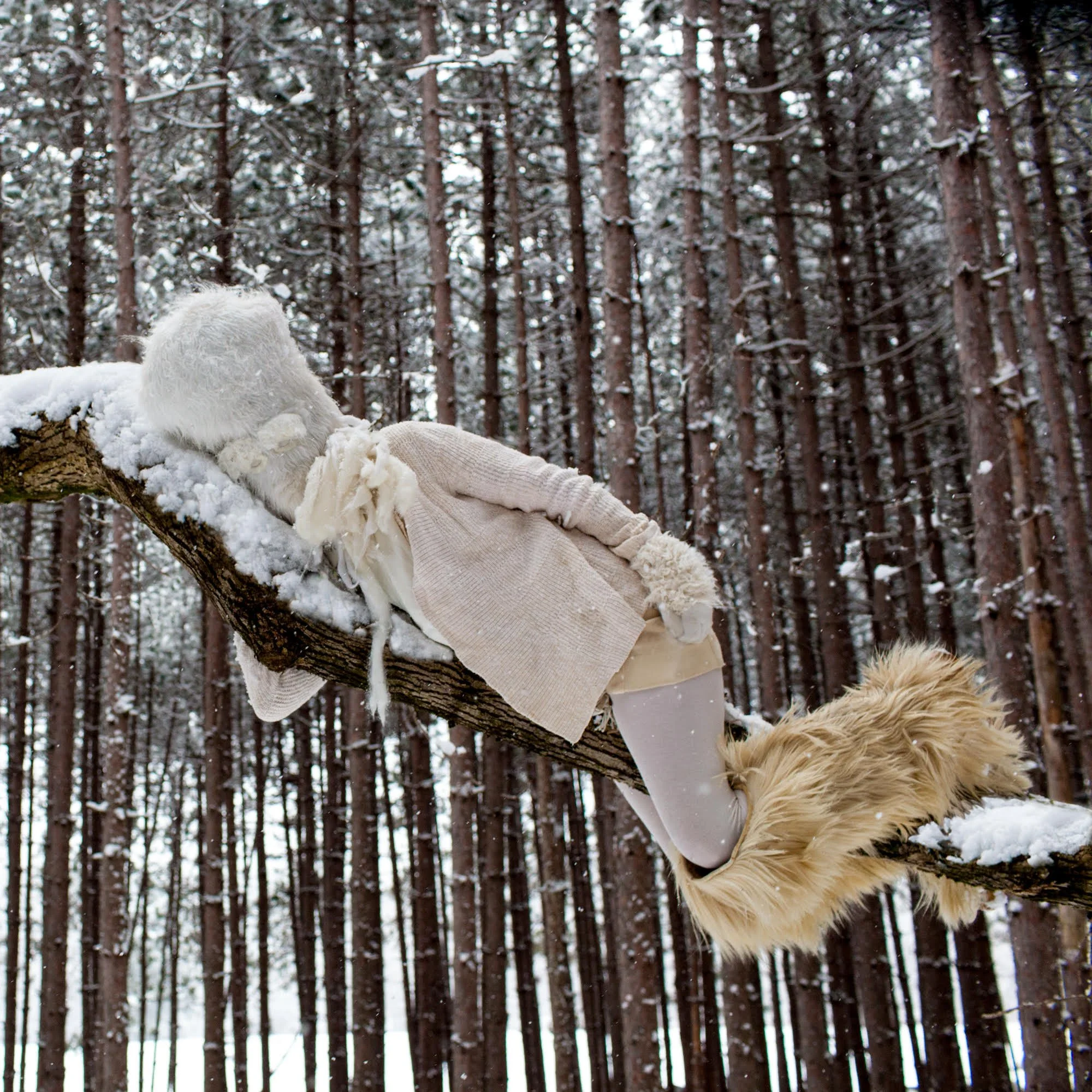 Megan Jones, Tree Nap