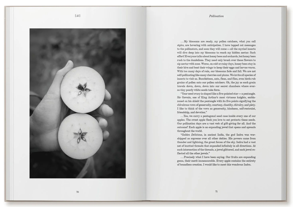 Harasimowicz_page-spread_2.webp