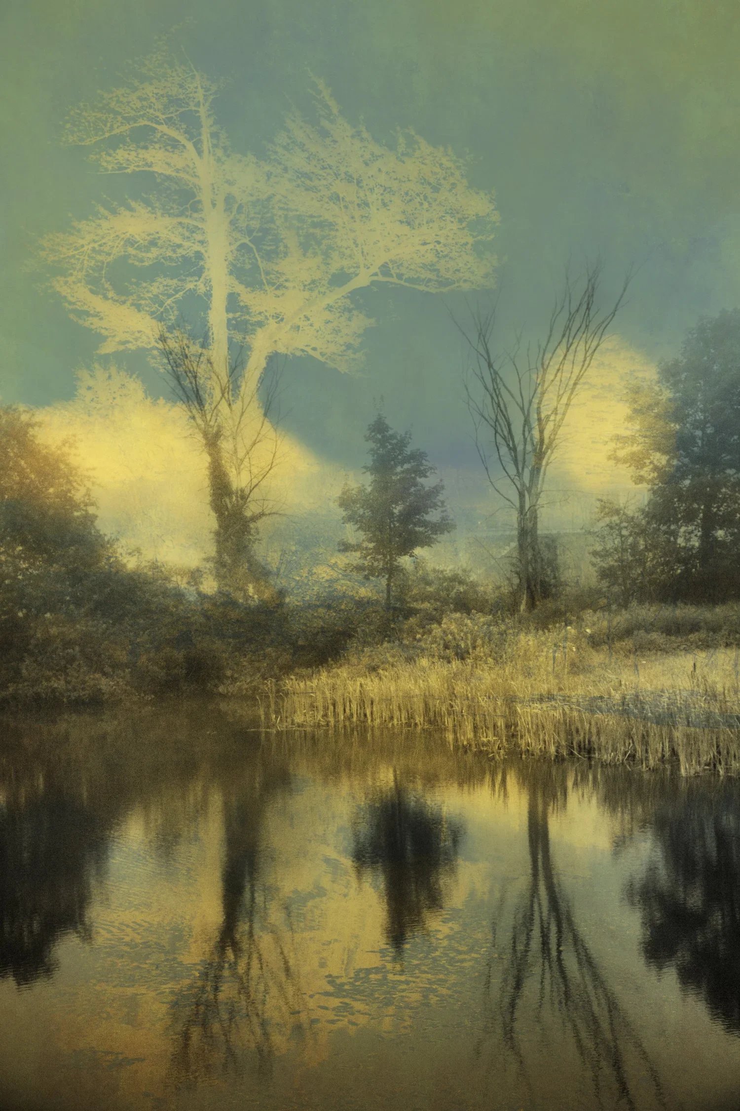Joyce Tenneson, Sacre Bleu Series, Day to Night (Large)