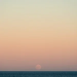 Jim Nicklinson, Chestnut Moon 1