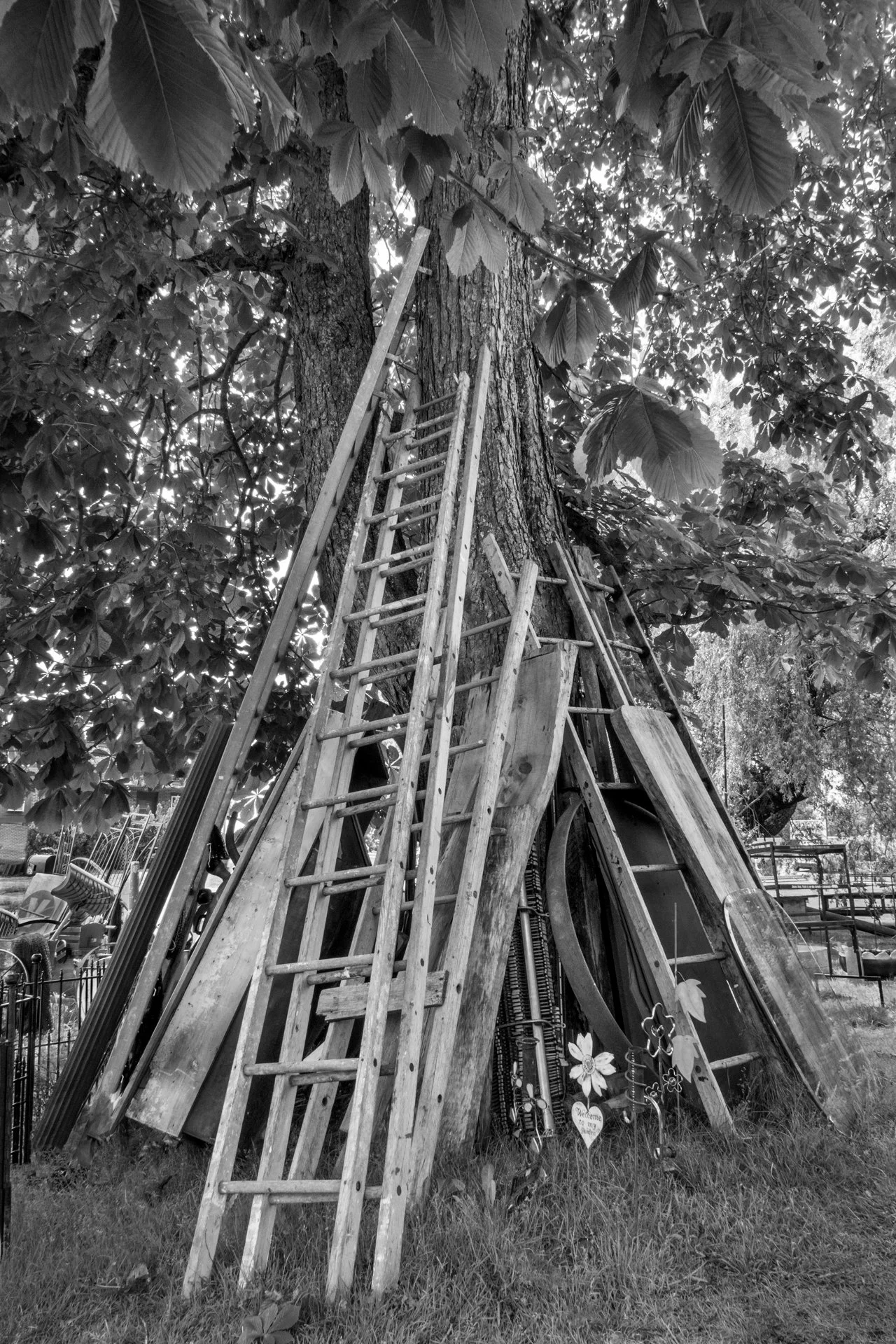 Salomon-MMPA Metaphysical-vertical images-7.jpg