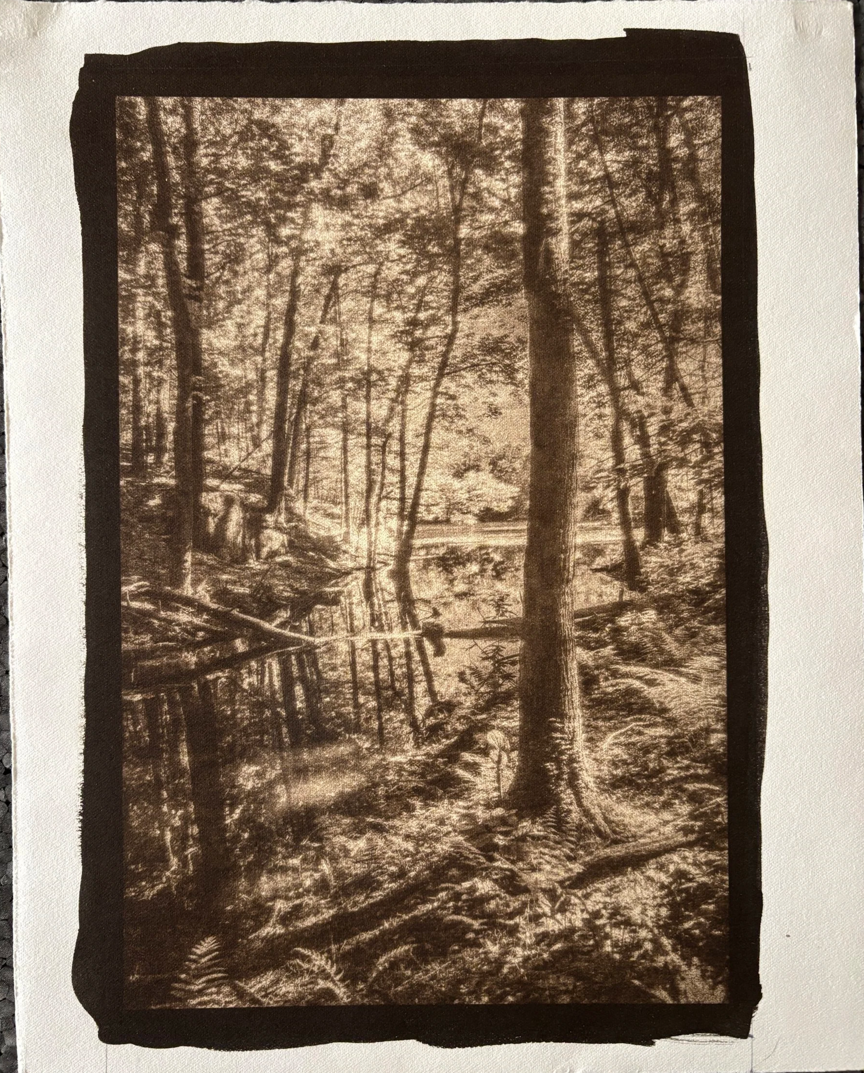 Jack Montgomery, Woods near Andover