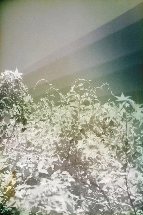 11_Caswell_lumen_2025_studio_18_edit_alt_rotationj_24x30.webp