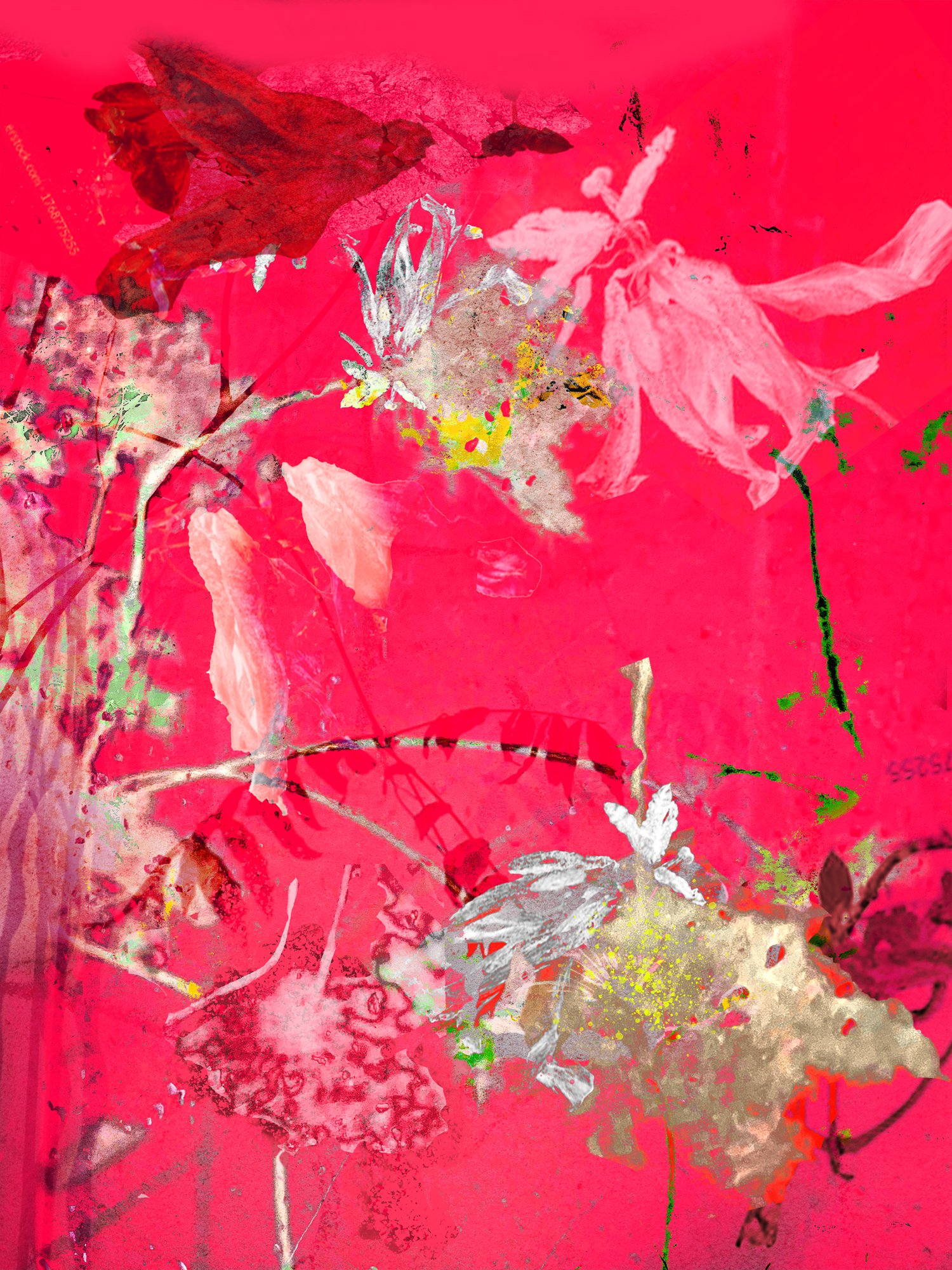 Carol Eisenberg, Queens Anne's Lace 2