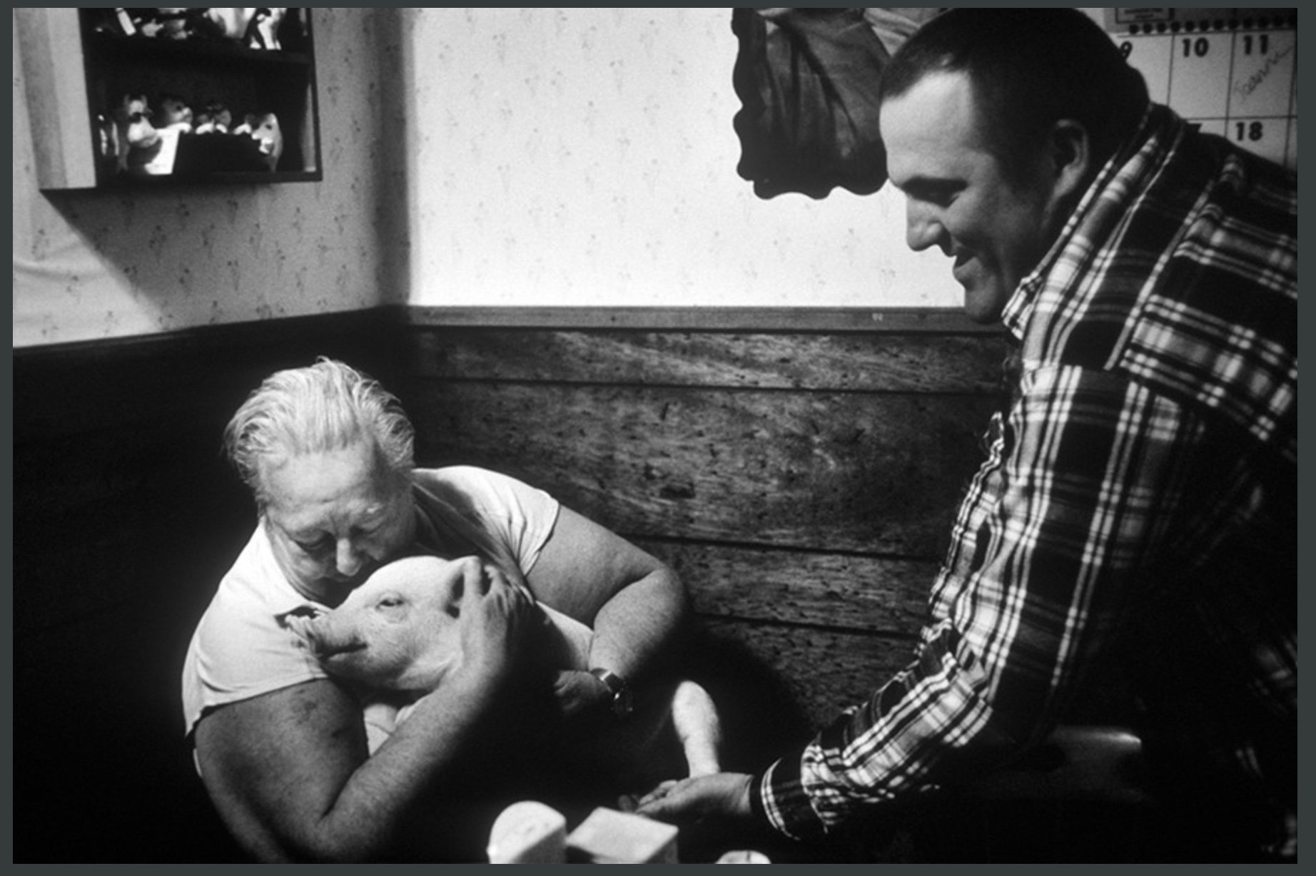 Screen Shot 2025-12-31 at 12.12.57 PM.jpg