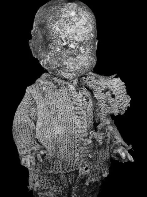 Tillman Crane, Gerber Baby II, ND, 2022