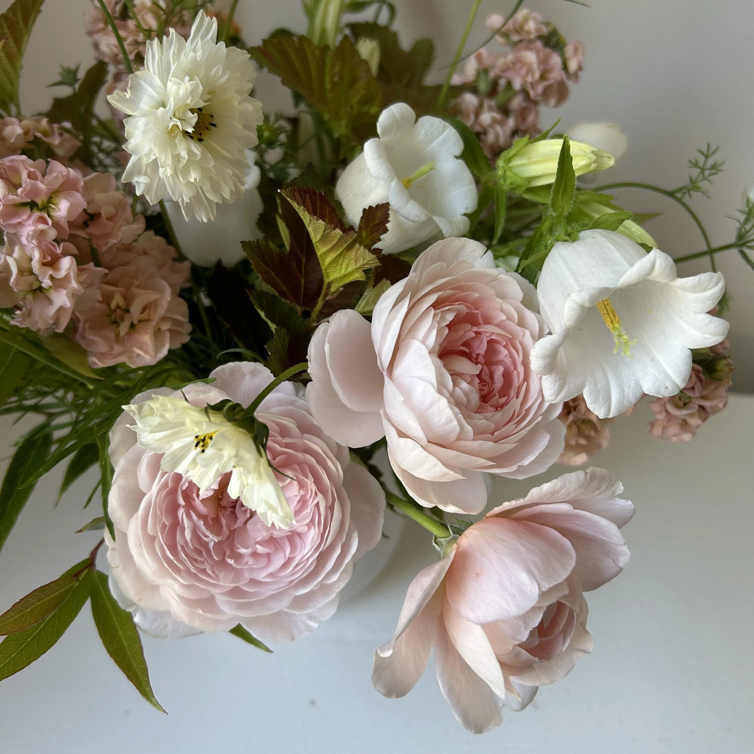 Celadon Floral is your Yarmouth, Maine florist.