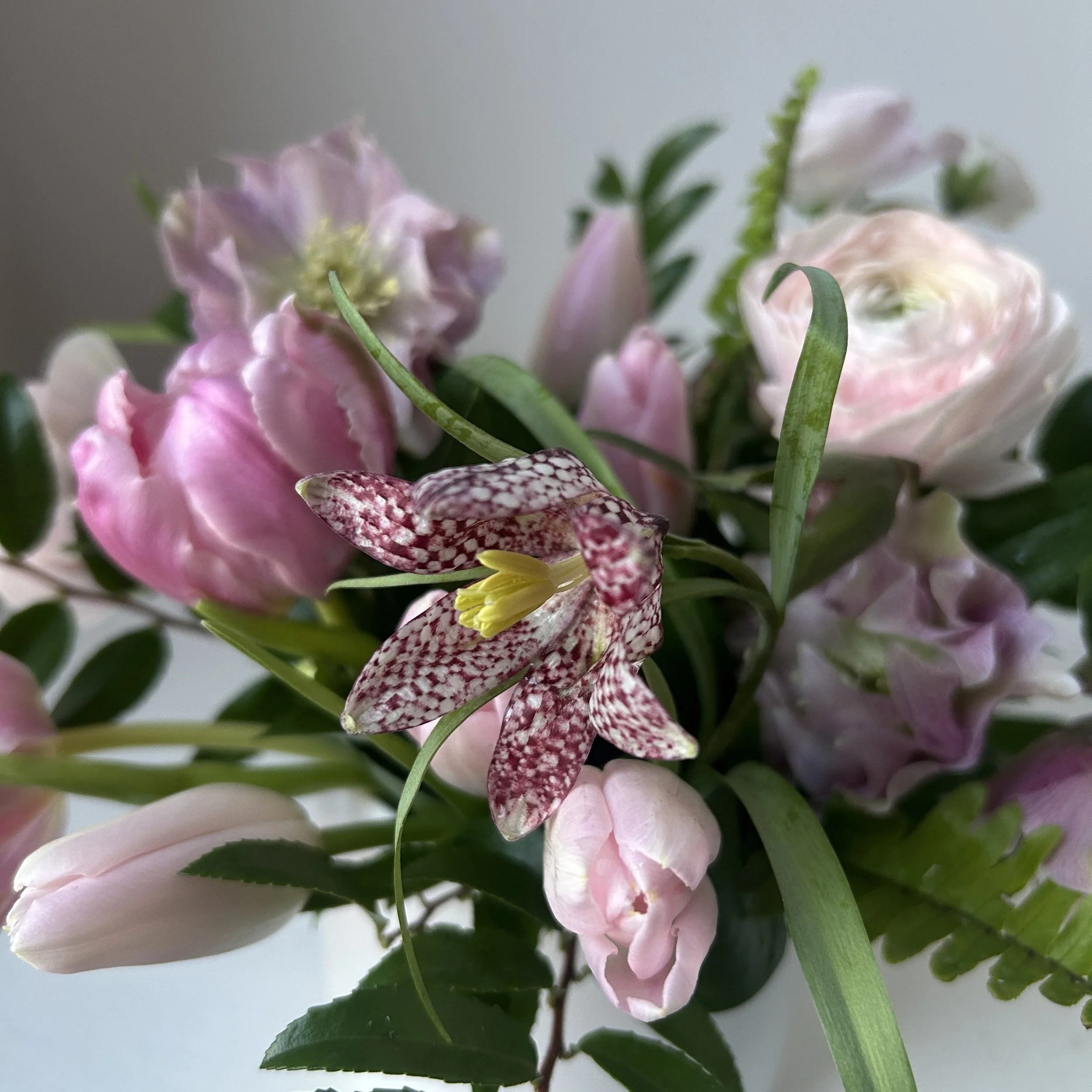 Celadon Floral is your Georgetown, Maine florist.