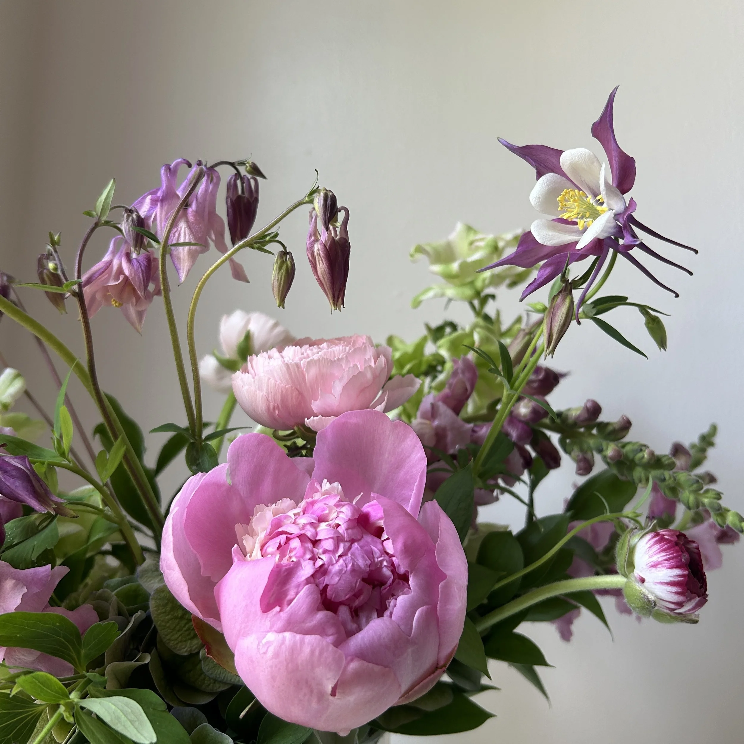 Celadon Floral is your Orr's Island, Harpswell, Maine florist.