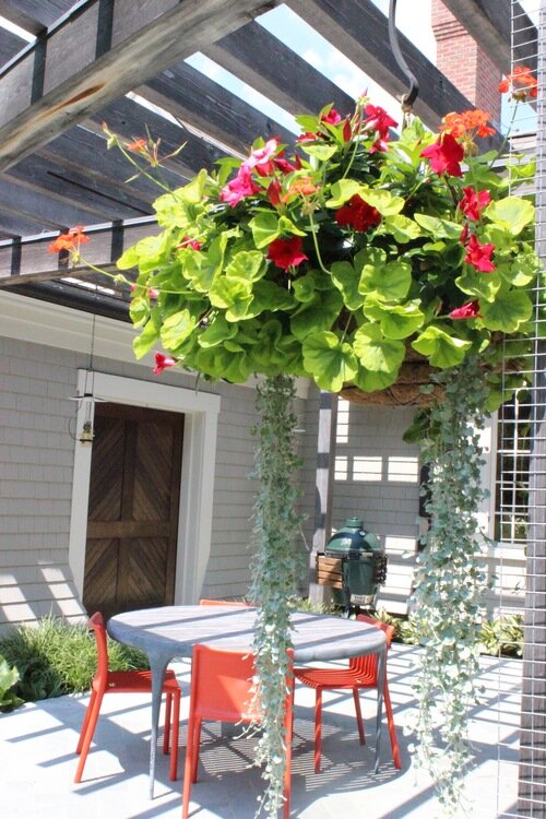 Brunswick, Maine florist delivering unique and sophisticated