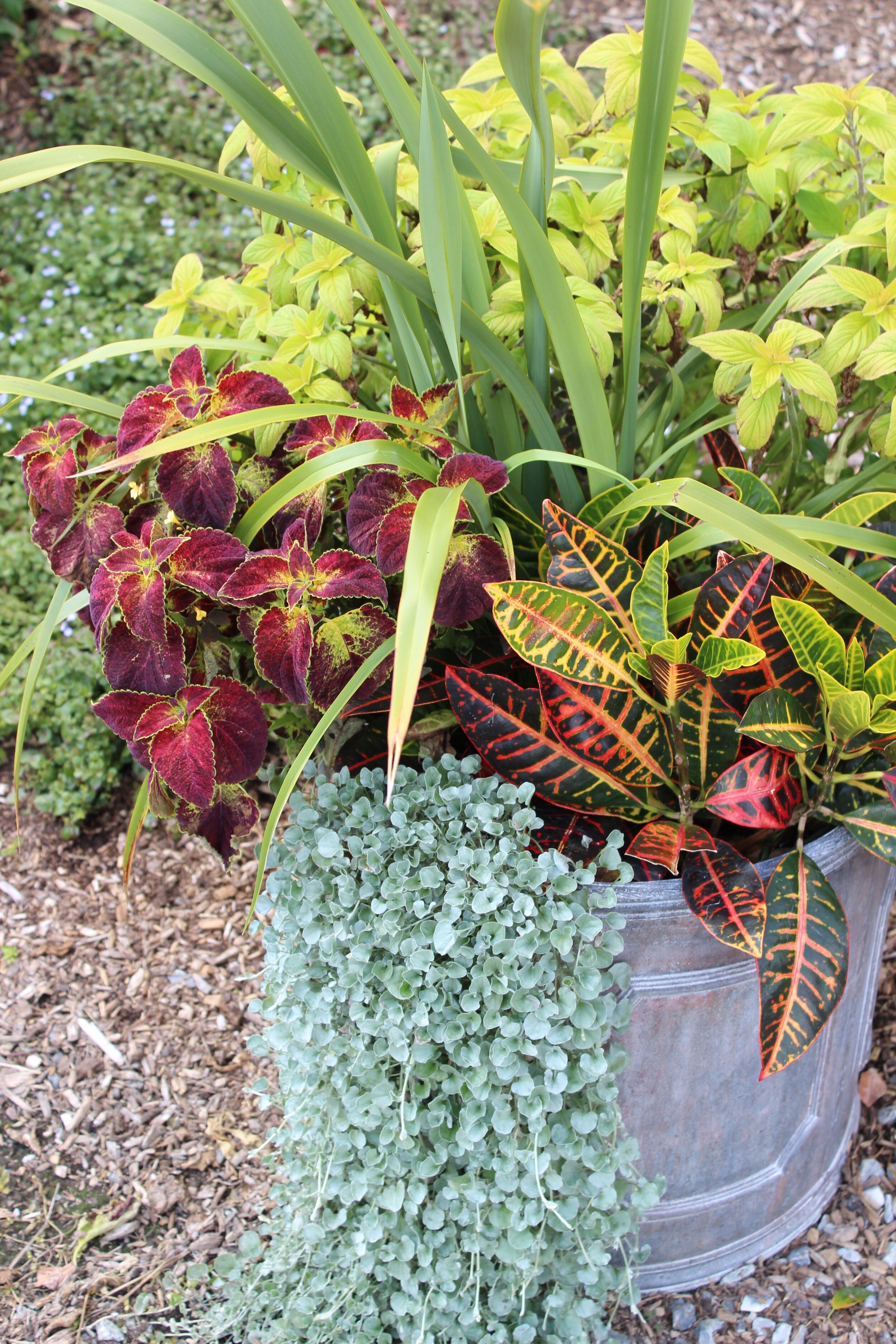 Brunswick, Maine florist delivering unique and sophisticated