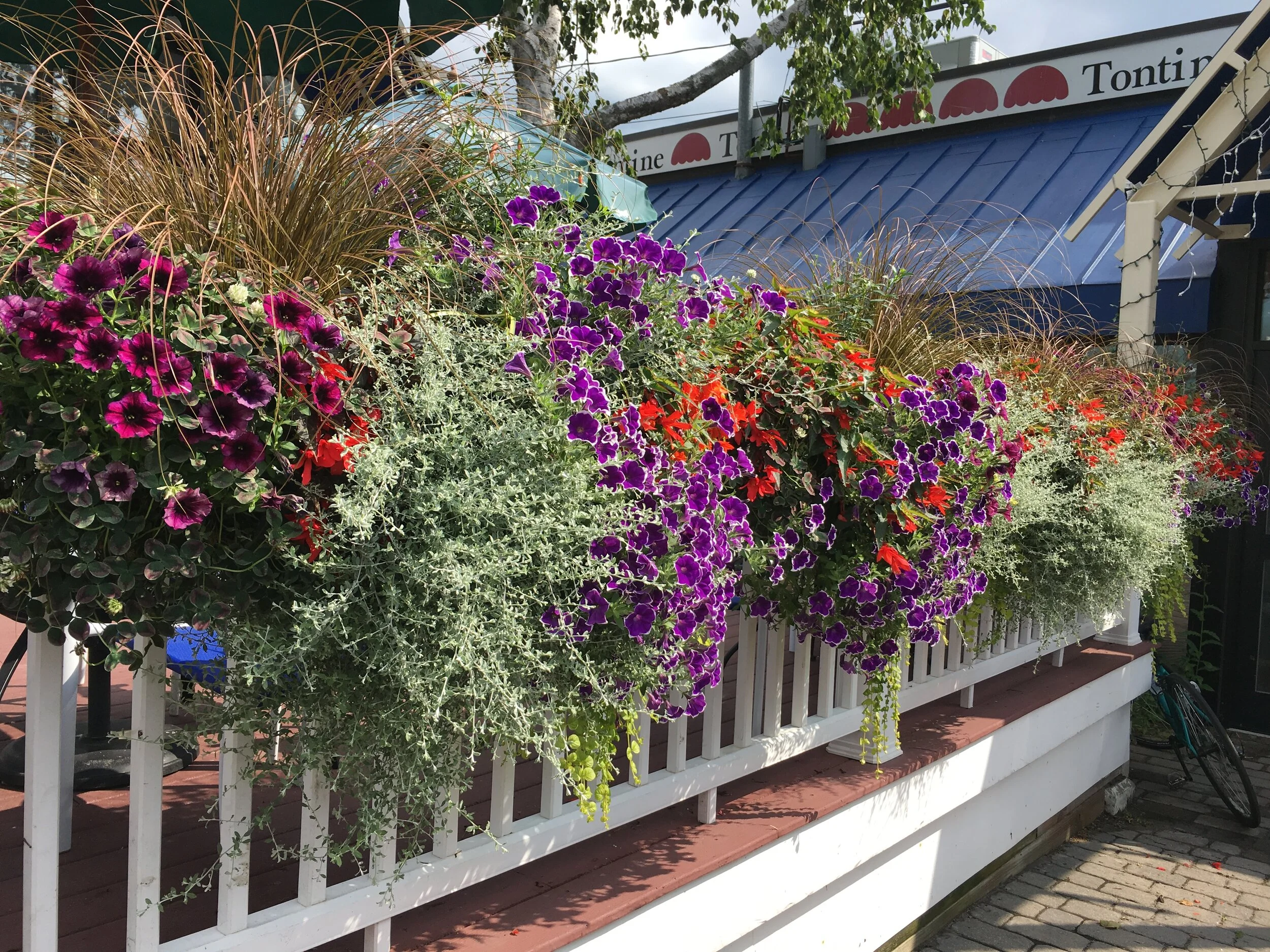 Brunswick, Maine florist delivering unique and sophisticated