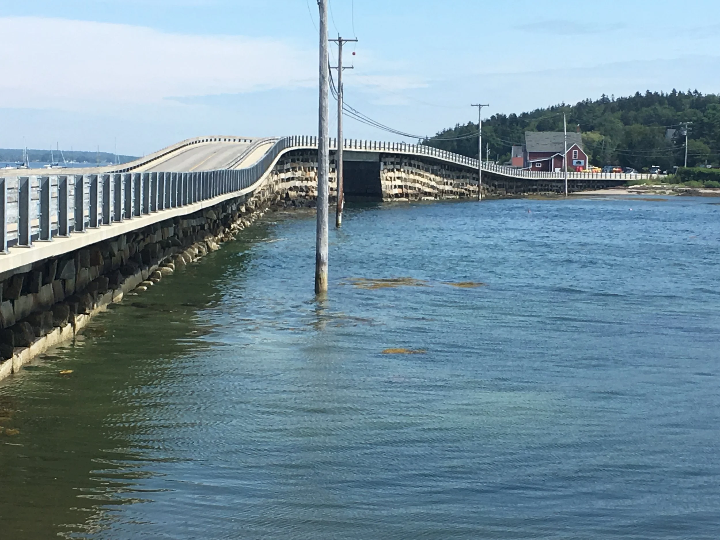 Brunswick, Maine florist delivering unique and sophisticated