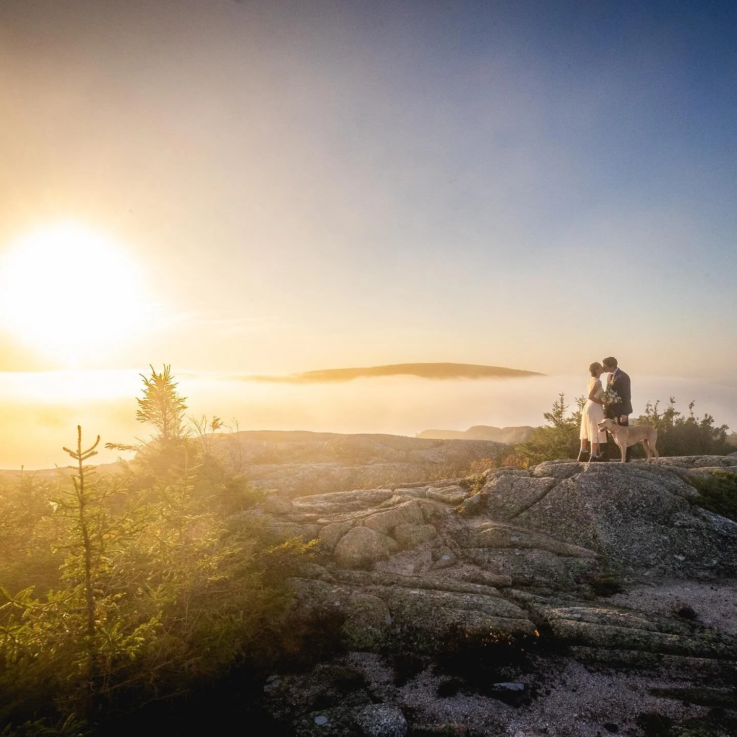 In case you were on the fence: it IS a great idea to get married on a mountaintop in October at sunrise with your dog. 

Thank you for capturing this beautiful, serene moment, @yeahbudphoto